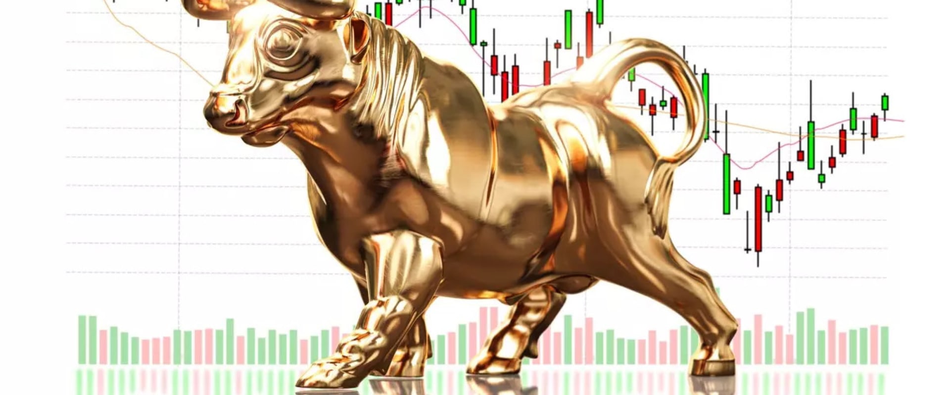 Will the Stock Market Always Recover? An Expert's Perspective